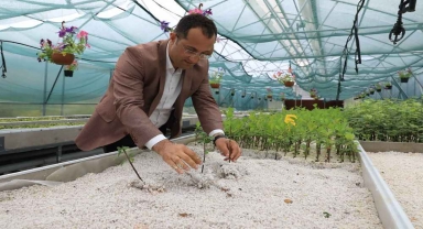 Trabzon'da 25 bin aronya fidesi 100 çiftçiye teslim edilecek