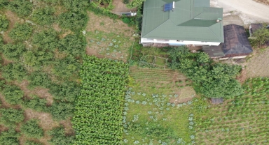 Trabzon'da dron destekli uyuşturucu operasyonunda 1 kişi yakalandı