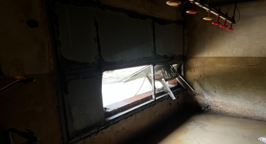 Zonguldak'ta yaşanan selde tavuk çiftliklerindeki yaklaşık 60 bin hayvan telef oldu