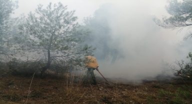Bolu'da yıldırımın isabet etmesi soncu orman yangını çıktı