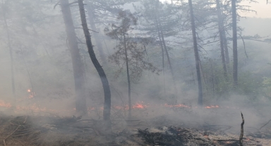 GÜNCELLEME - Bolu'da çıkan orman yangınına müdahale ediliyor