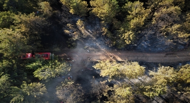 GÜNCELLEME - Kastamonu'da ormanlık alanda çıkan yangın kontrol altına alındı