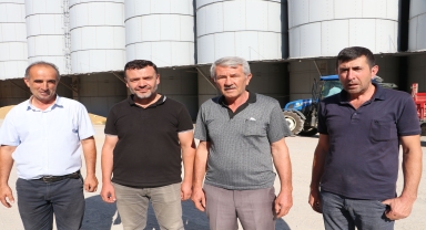 Havza'da TMO alımları devam ediyor