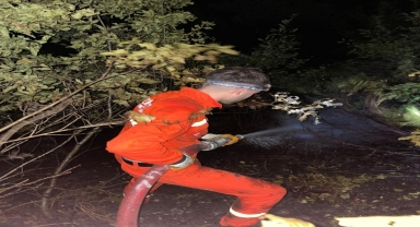 Kastamonu'da ormanlık alanda çıkan yangın söndürüldü