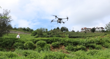 Rize'de çay bahçesine zirai dronla sıvı gübre uygulandı