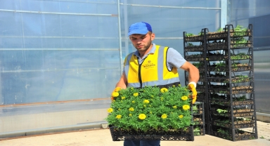 Samsun'da çöpten elde edilen elektriğin kullanıldığı seralarda çiçek üretiliyor