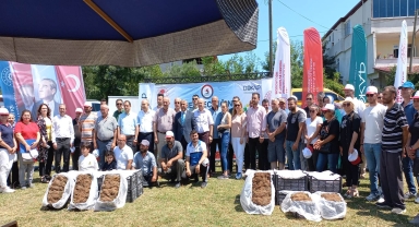 Samsun'da üreticiye çilek fidesi ve damlama sulama ekipmanı dağıtıldı