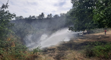 Sinop'ta çıkan orman yangını söndürüldü