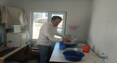 Tokat'ta buğday ve arpa hasadı başladı