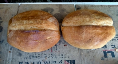 Tokat'ta ekmek ve simit fiyatlarında düzenlemeye gidildi