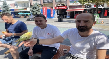 Trafik kazasında kaybettiği arkadaşının ismini verdiği papağan