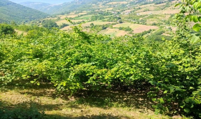 Yakakent'ten kısa kısa