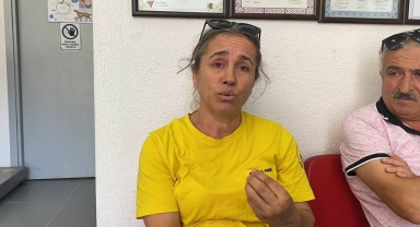 Zonguldak'ta nacak ile yaralandığı öne sürülen köpek tedaviye alındı