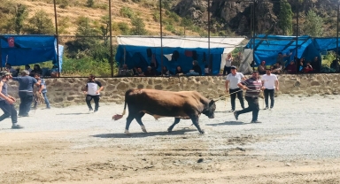 Artvin'de