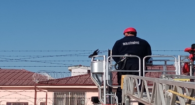 Bolu'da bahçe tellerine takılan karga kurtarıldı