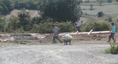 Bolu'da kuyuya düşen ayı 13 saat sonra kurtarıldı