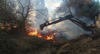 Çorum'da ağaçlık alana sıçrayan anız yangını 100 dönüm alana zarar verdi