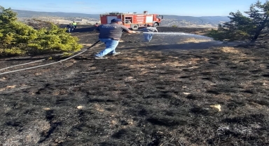 Çorum'da çıkan yangında 10 dekar tarım arazisi zarar gördü