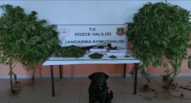Düzce'de uyuşturucu operasyonunda 1 şüpheli gözaltına alındı