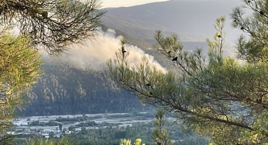 Karabük'te çıkan orman yangınına müdahale ediliyor