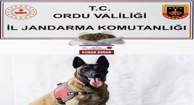Ordu'da otomobilinde uyuşturucu bulunan şüpheli yakalandı