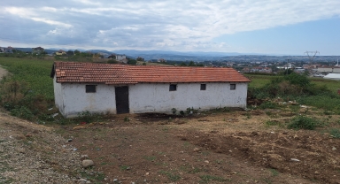 Samsun'da ahırda 11 buzağı boğularak telef edilmiş halde bulundu