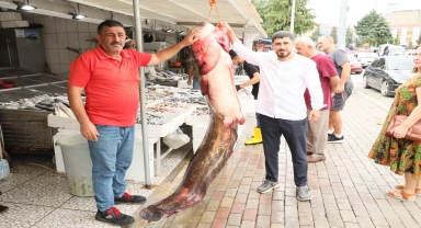 Samsun'da baraj gölünde 94 kilogramlık yayın balığı yakalandı