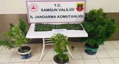 Samsun'da uyuşturucu operasyonunda yakalanan zanlı tutuklandı