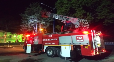 Sinop'ta ağaçta mahsur kalan kedi itfaiye ekiplerince kurtarıldı