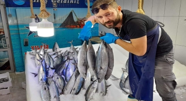 Sinop'ta ağlara torik takıldı