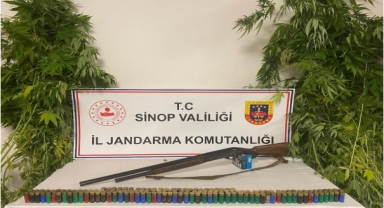 Sinop'ta uyuşturucu operasyonunda 1 kişi yakalandı