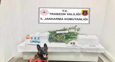 Trabzon'da evinde kenevir yetiştiren şüpheli gözaltına alındı