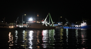 Zonguldak'ta balıkçılar