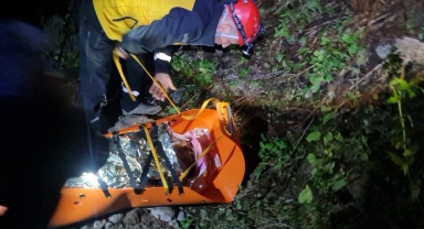 Artvin'de uçuruma yuvarlanan kamyonetteki 3 kişi yaralandı