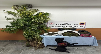 Artvin'de uyuşturucu operasyonunda 1 şüpheli tutuklandı