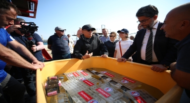 Çanakkale Boğazı'nda 300 yavru ıstakoz denizle buluştu