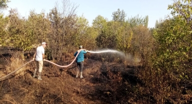 Çorum'da çıkan yangında 2 dekar ceviz bahçesi zarar gördü