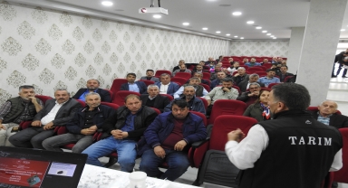 Espiye'de kahverengi kokarca ile mücadelesi toplantısı yapıldı