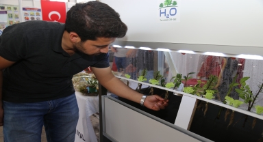 Geliştirdiği kapalı sistemle bitkilerin üç günde köklenmesini sağladı