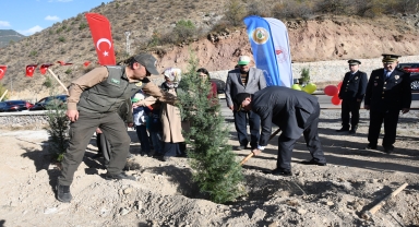 Gümüşhane'de