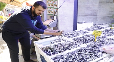 Karadeniz'de bollaşmaya başlayan hamsinin fiyatı düştü