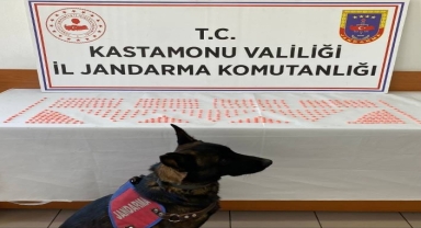 Kastamonu'da 450 uyuşturucu hapla yakalanan zanlı tutuklandı