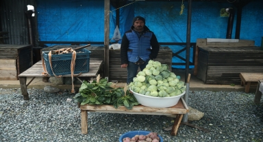 Ordu'da 1600 rakımda yetişen dürme pancarı yöre halkına gelir sağlıyor