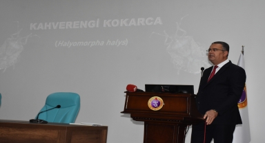 Ordu'da kahverengi kokarcayla mücadele konusunda toplantı yapıldı