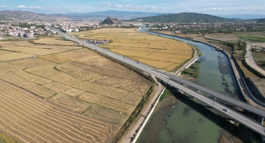 Pirinçte marka olan Osmancık'ta çeltik hasadı tamamlandı