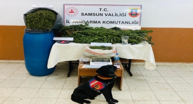 Samsun'da uyuşturucu operasyonunda 1 kişi gözaltına alındı