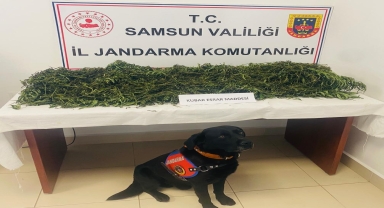 Samsun'da uyuşturucu operasyonunda 1 zanlı tutuklandı