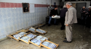 Sinop'ta balıkçı kooperatiflerinde alım satışta durgunluk yaşanıyor
