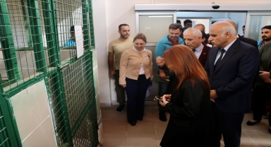 Trabzon'da 4 Ekim Dünya Hayvanları Koruma Günü etkinliği düzenlendi