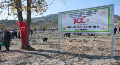 Turhal'da 100. yıl hatıra ormanına fidan dikildi